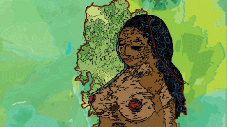 Conflicto armado y violencia sexual. los daños a la vida en las mujeres la región del Catatumbo