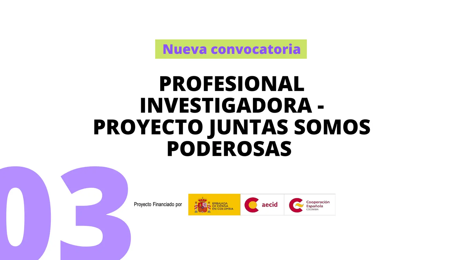 Convocatoria profesional investigadora