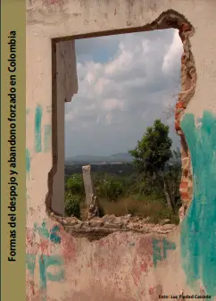 Formas del despojo y abandono forzado en Colombia