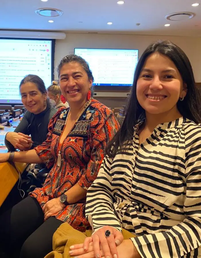 La Alianza 1325, una experiencia colombiana de incidencia por la paz y la seguridad de mujeres que han sufrido la guerra en Colombia